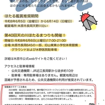 蛍鑑賞