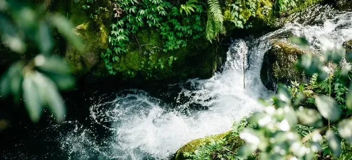 鄉間山林裡的清流