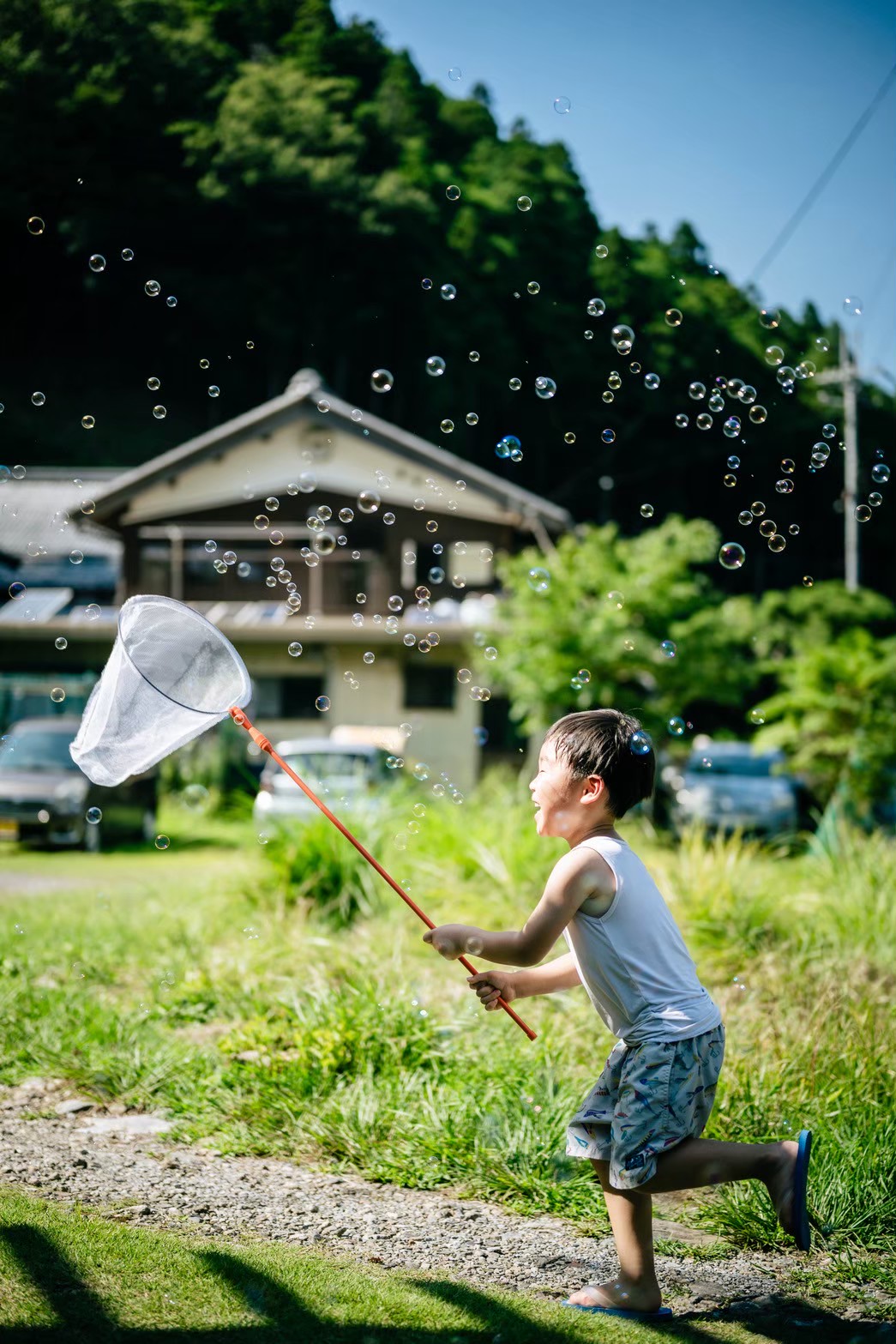 虫取り体験